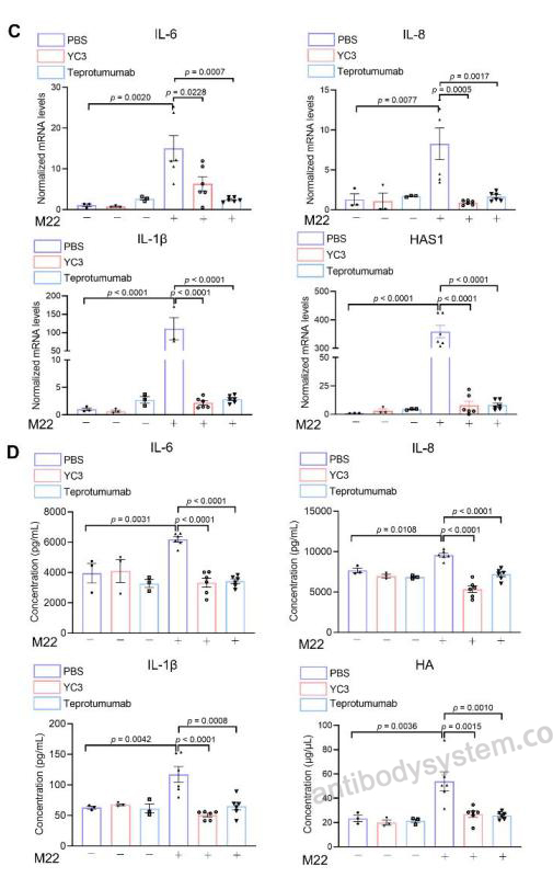 Bioactivity for Research Grade Teprotumumab ?>