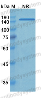 Research Grade Tadocizumab