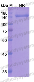 Research Grade Onartuzumab