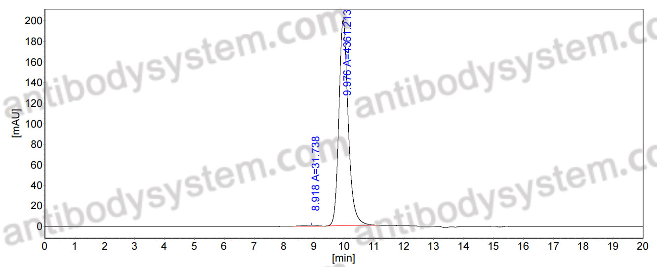 Research Grade Anti-Human MAPT/Tau/PHF-tau (E2814)