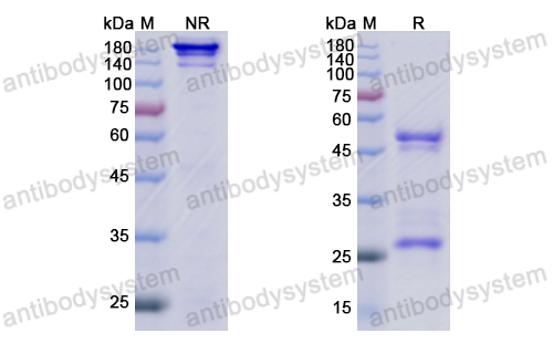 Research Grade Varisacumab