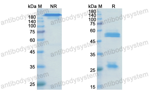 Research Grade Olaratumab