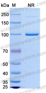 Research Grade Emerfetamab