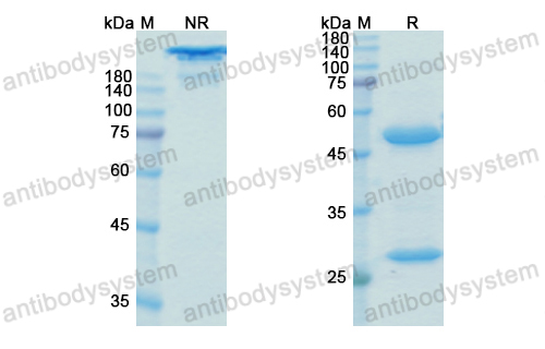 Research Grade Uliledlimab