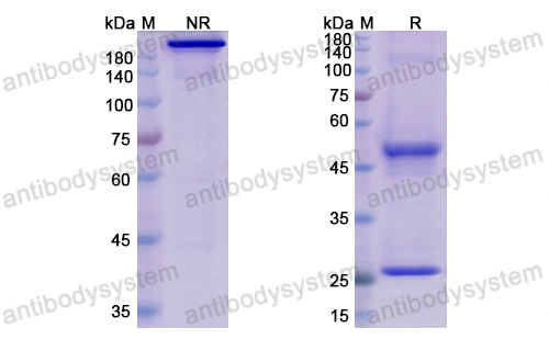 Research Grade Elgemtumab