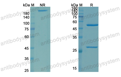 Research Grade Zampilimab