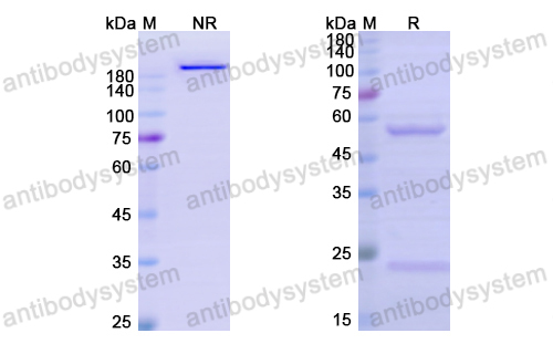 Research Grade Giloralimab