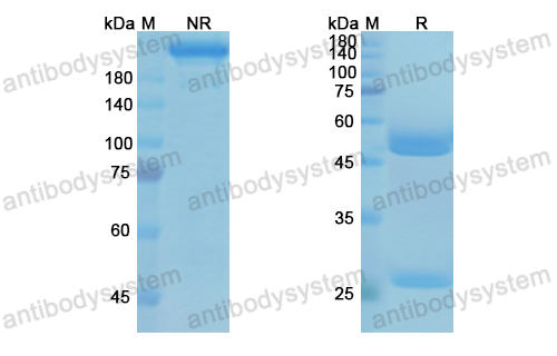 Research Grade Tesnatilimab