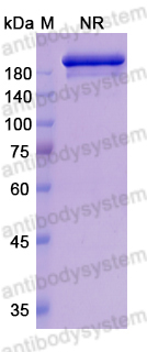 Research Grade Romilkimab