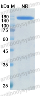 Research Grade Meplazumab