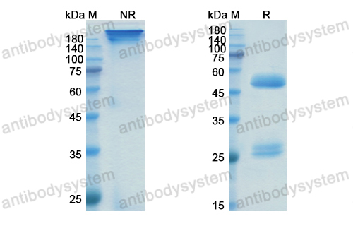 Research Grade Vulinacimab