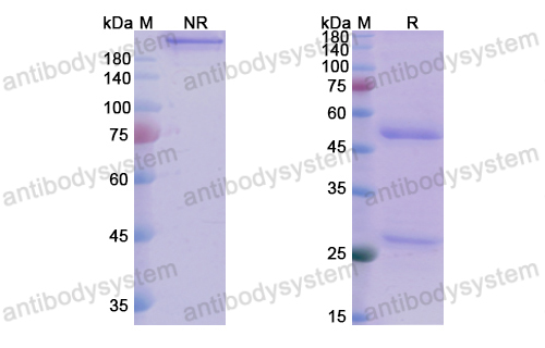 Research Grade Tinurilimab