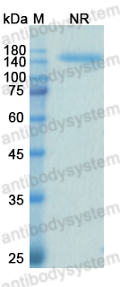 Research Grade Samalizumab