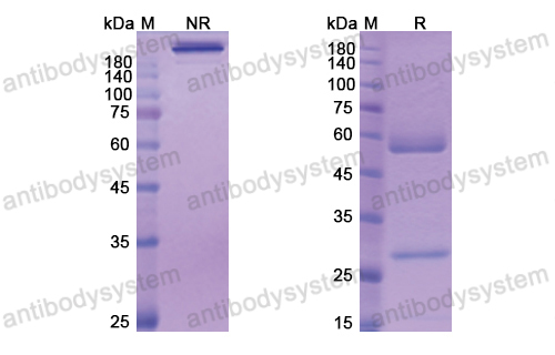 Research Grade Volagidemab