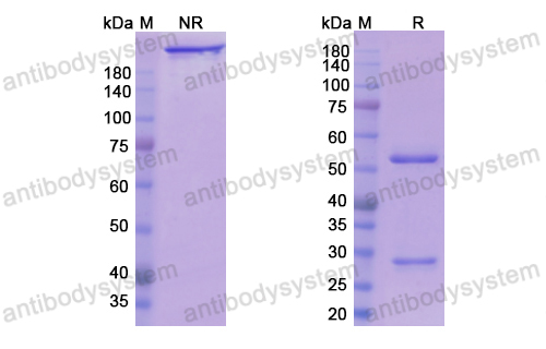 Research Grade Crotedumab