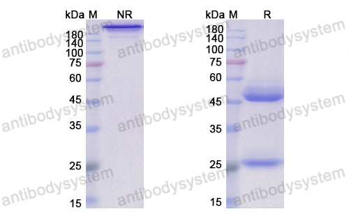 Research Grade Lerdelimumab