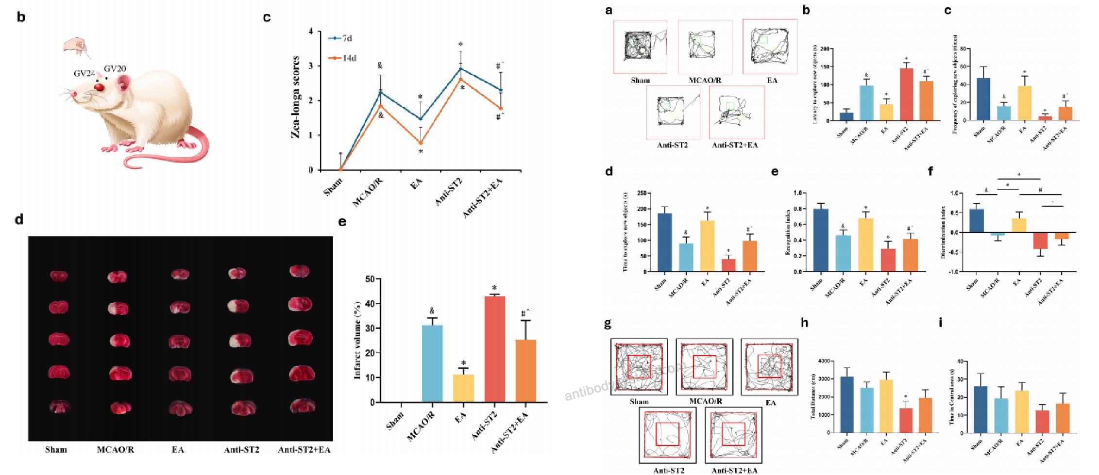 Bioactivity for Research Grade Astegolimab ?>