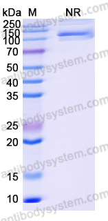 Research Grade Pavurutamab