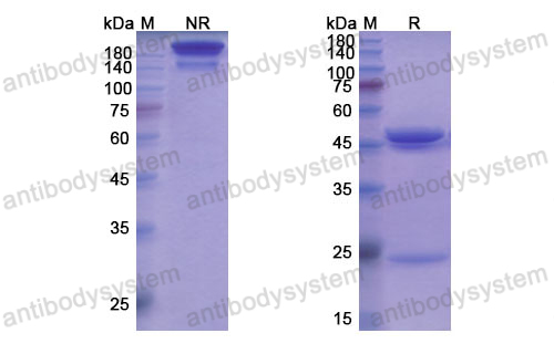 Research Grade Capromab