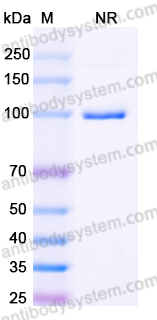 Research Grade Acapatamab