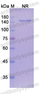 Research Grade Tarextumab