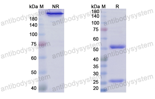 Research Grade Pimivalimab