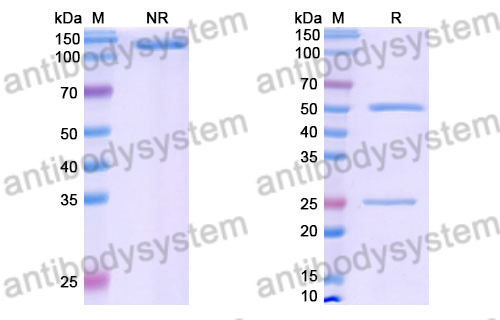 Research Grade Peresolimab