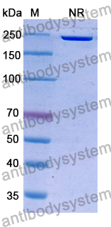 Research Grade Volrustomig