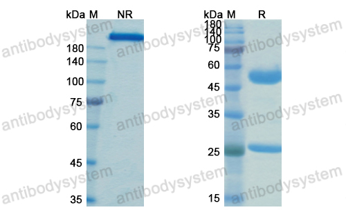 Research Grade MK-3655