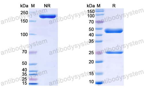 Research Grade MK-4830