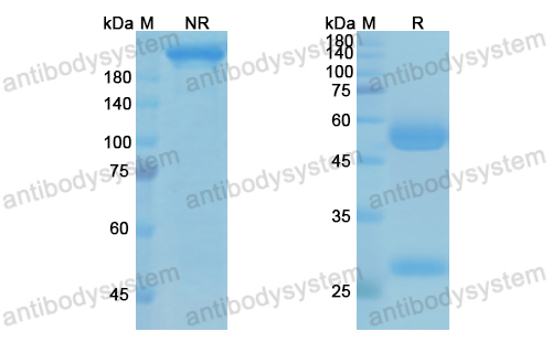 Research Grade Alirocumab