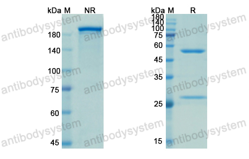 Research Grade Evolocumab