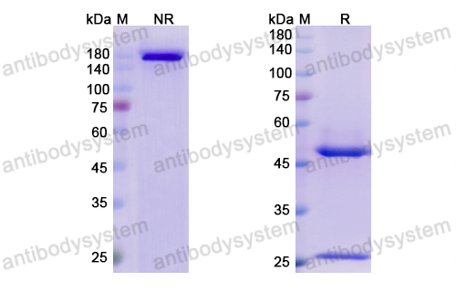 Research Grade Surzebiclimab