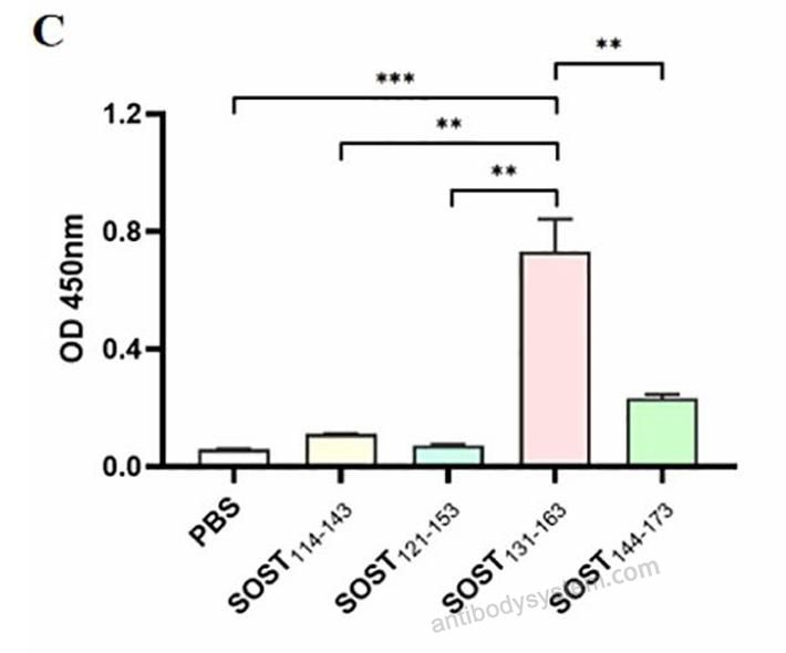 Bioactivity for Research Grade Romosozumab ?>
