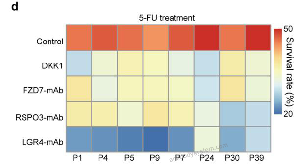 Bioactivity for Research Grade Rosmantuzumab ?>