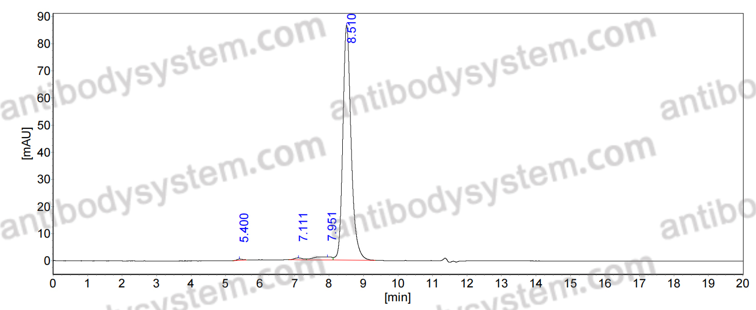 Research Grade Anti-Human CD318/CDCP1 Antibody (38 E11#)