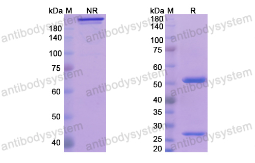 Research Grade Fletikumab