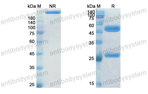 Research Grade Opucolimab