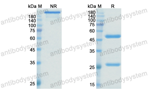 Research Grade Feladilimab