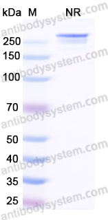 Research Grade Forimtamig