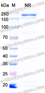 Research Grade Blontuvetmab