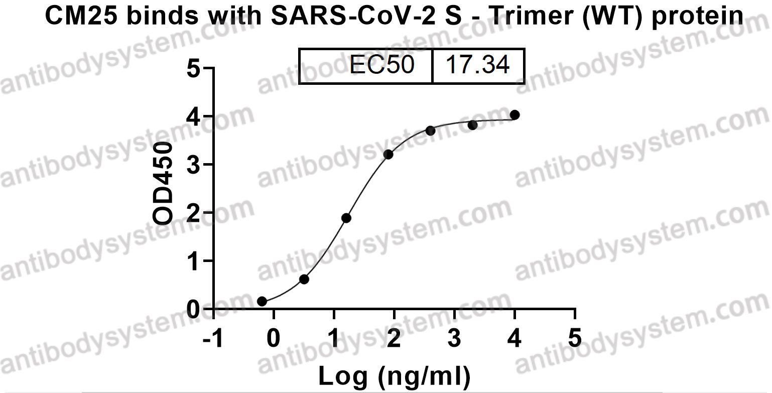 Research Grade Anti-SARS-CoV-2 NTD (CM25)