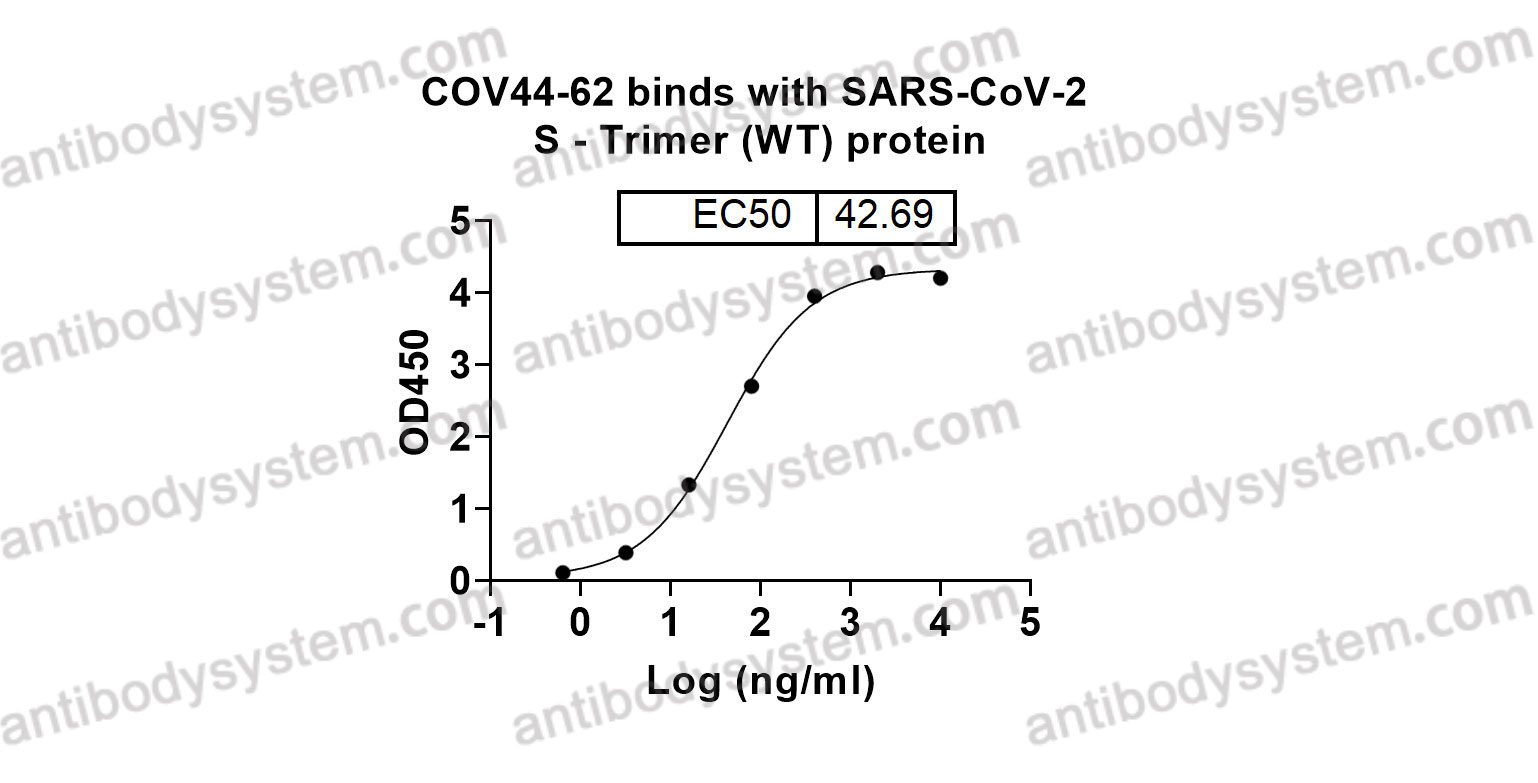 Research Grade Anti-SARS-CoV-2 RBD (COV44-62)