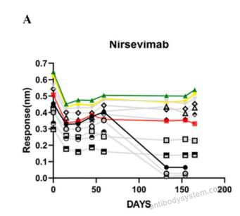Bioactivity for Research Grade Nirsevimab ?>