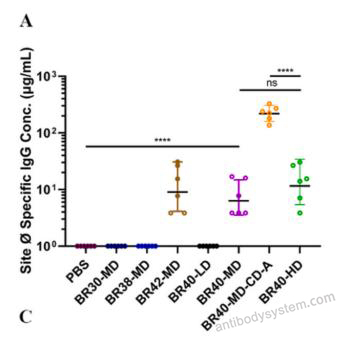 Bioactivity for Research Grade Nirsevimab ?>