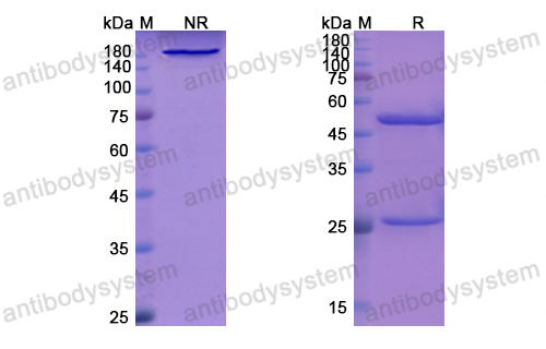 Research Grade Libivirumab