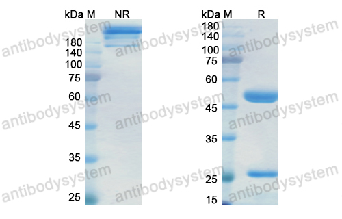 Research Grade Miromavimab