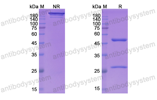 Research Grade Larcaviximab