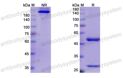 Research Grade Cosfroviximab