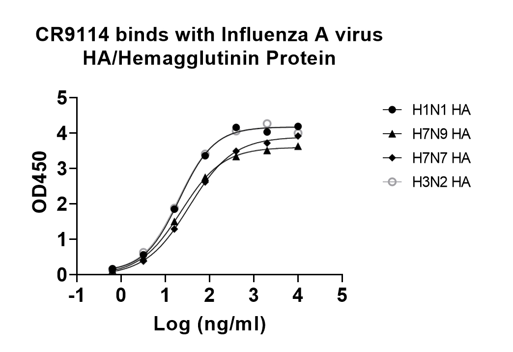 Bioactivity for Research Grade Anti-Influenza A virus HA/Hemagglutinin Broad-Neutralizing Antibody (CR9114) ?>